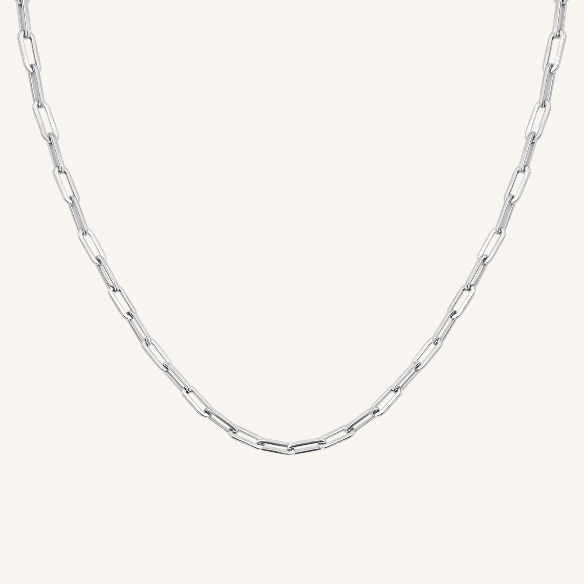 Paperclip Necklace