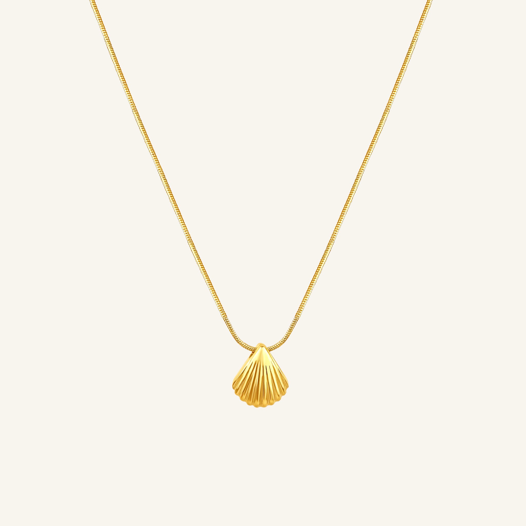 Shell Necklace