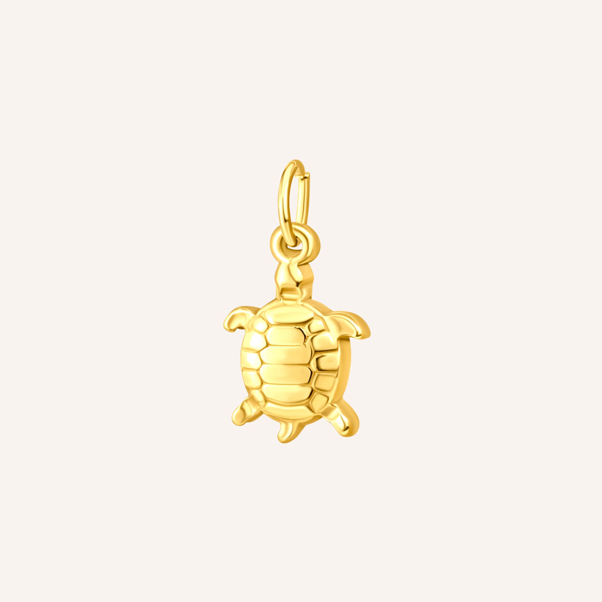 Turtle Charm
