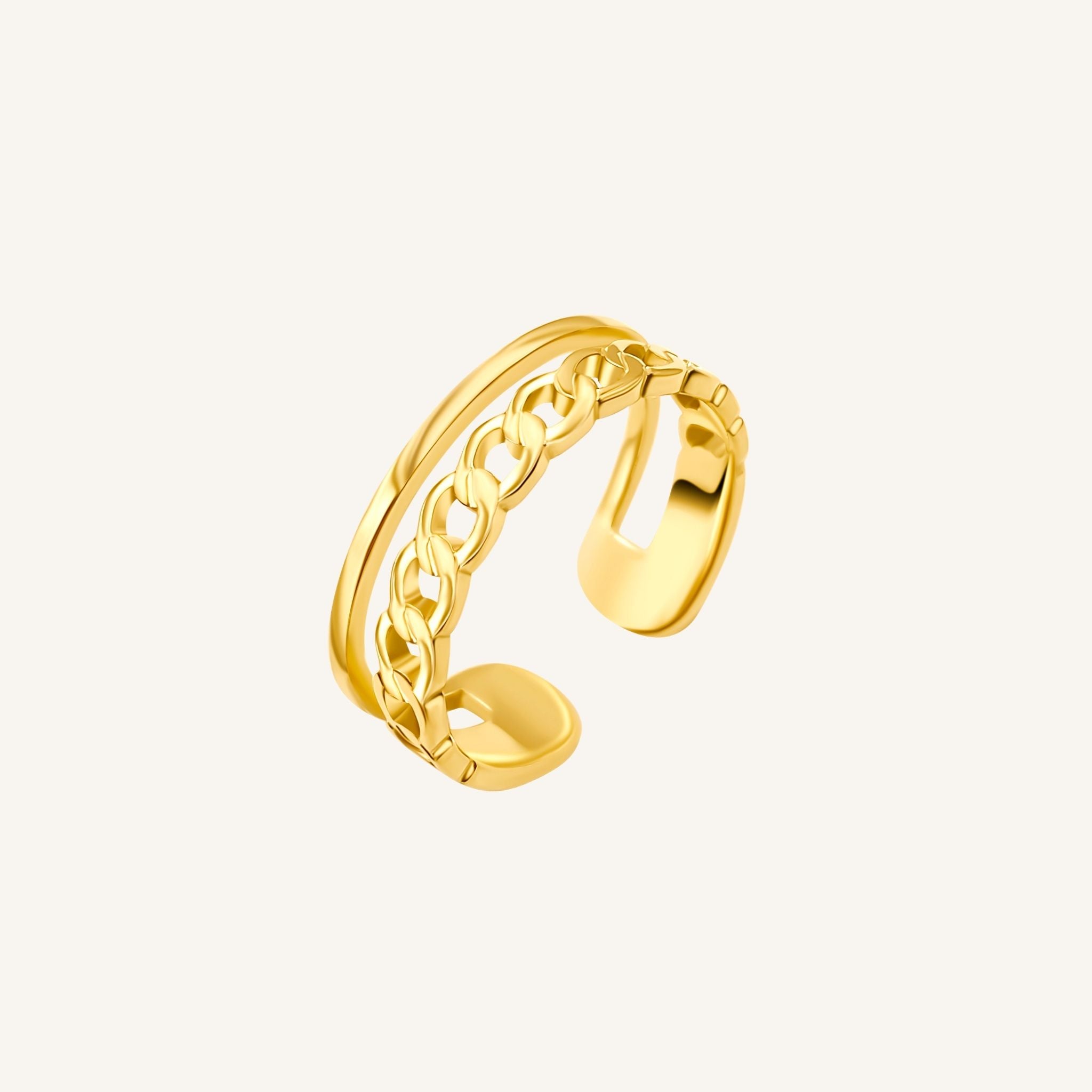 Double chain ring