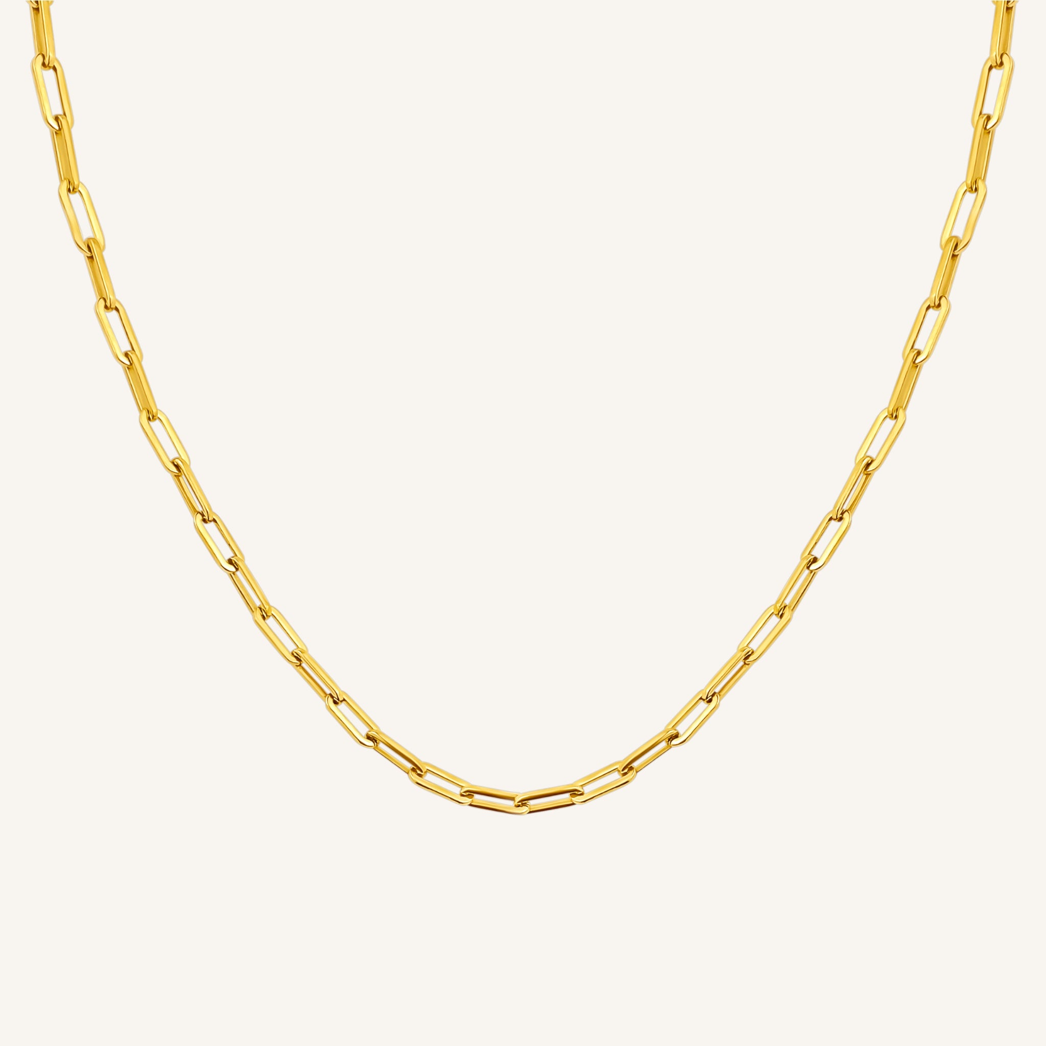 Paperclip Necklace
