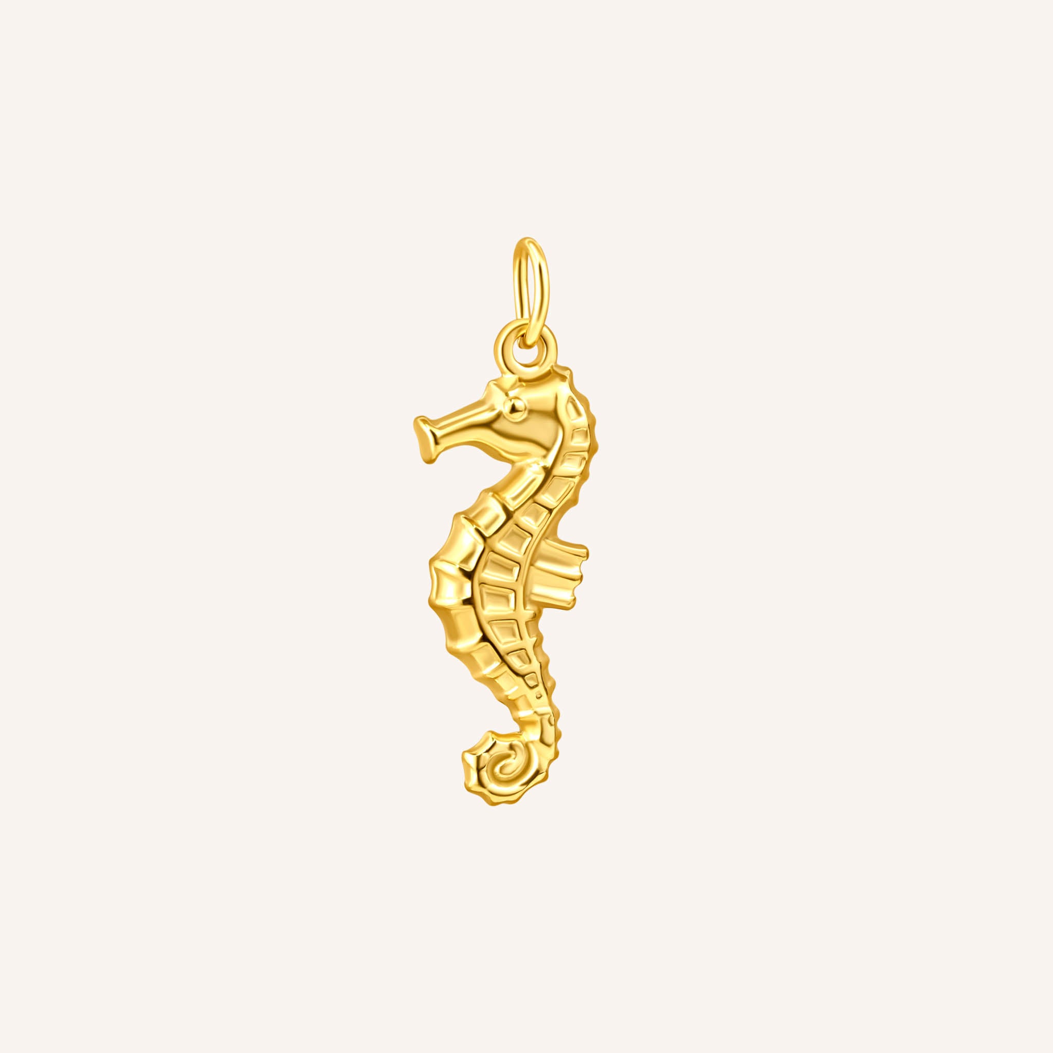 Seahorse Charm