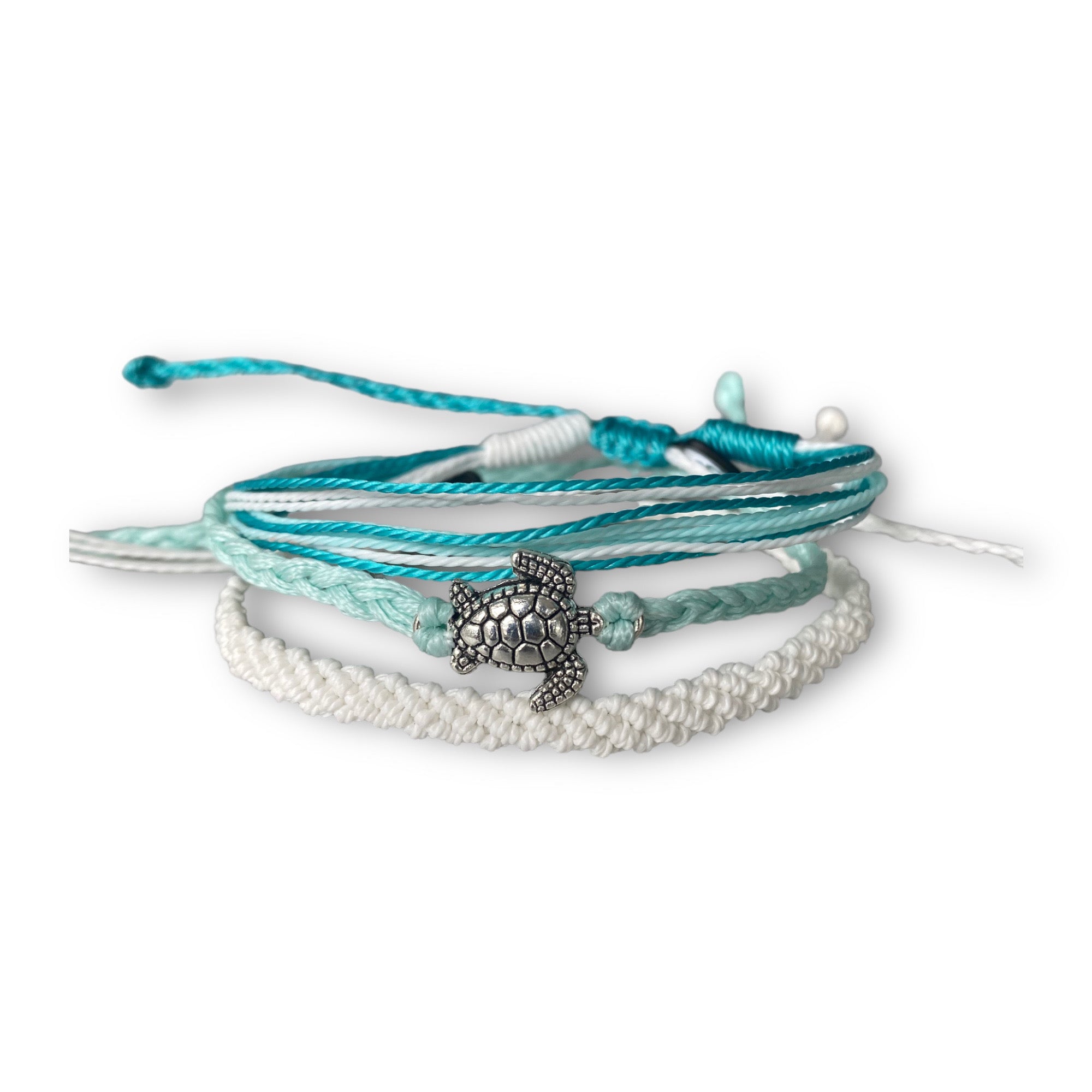 Blue Turtle Set