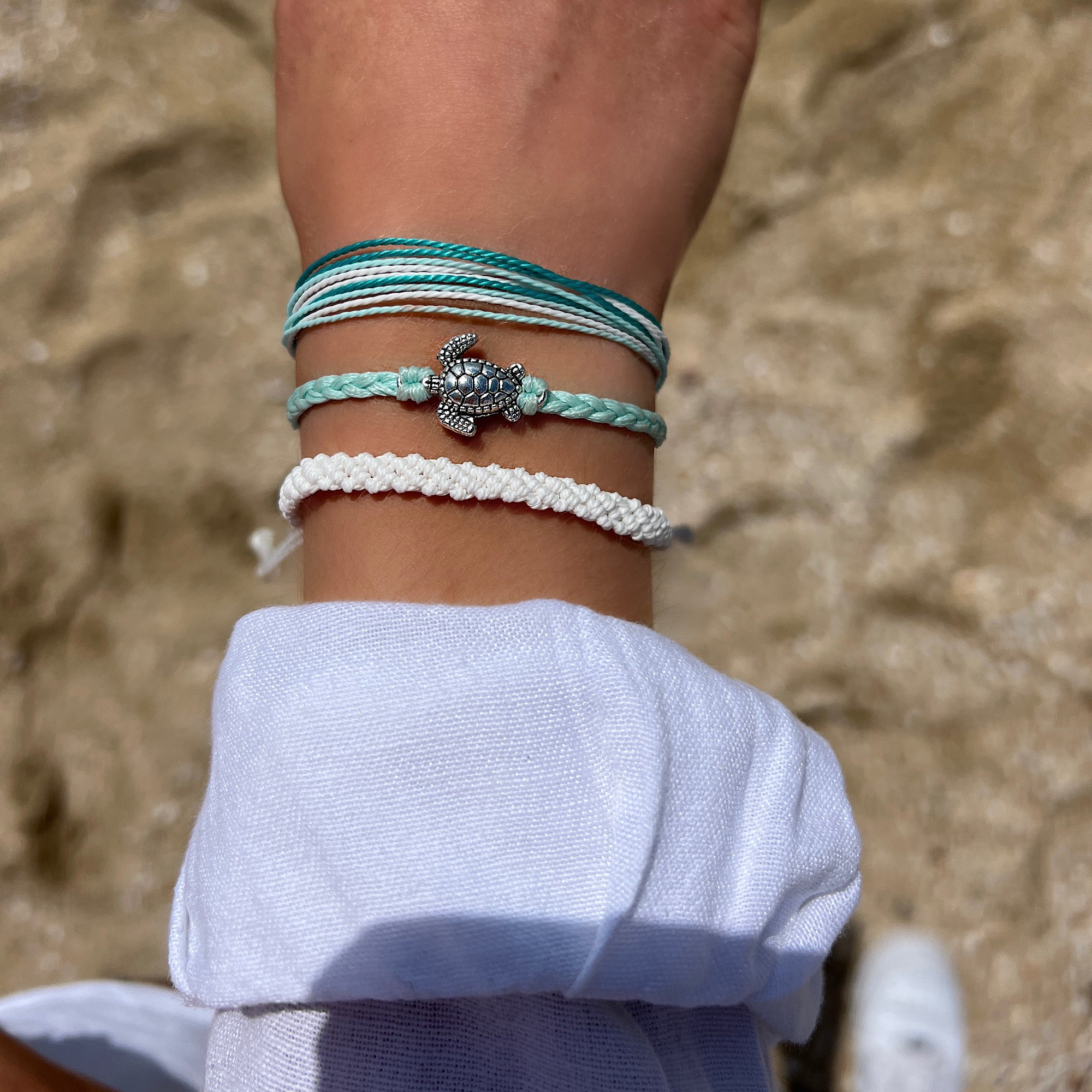 Blue Turtle Set