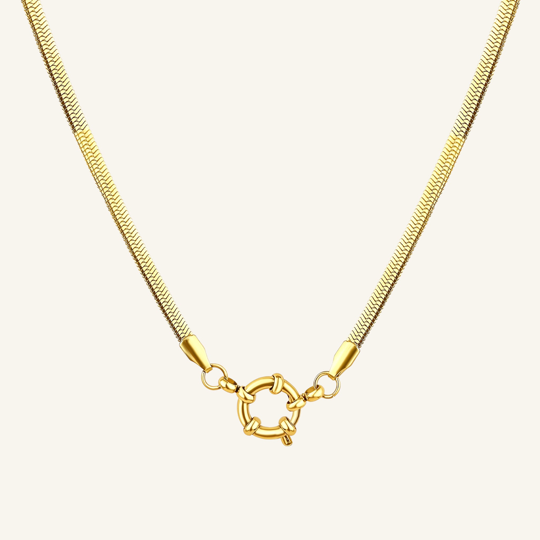 Snake Charm Necklace