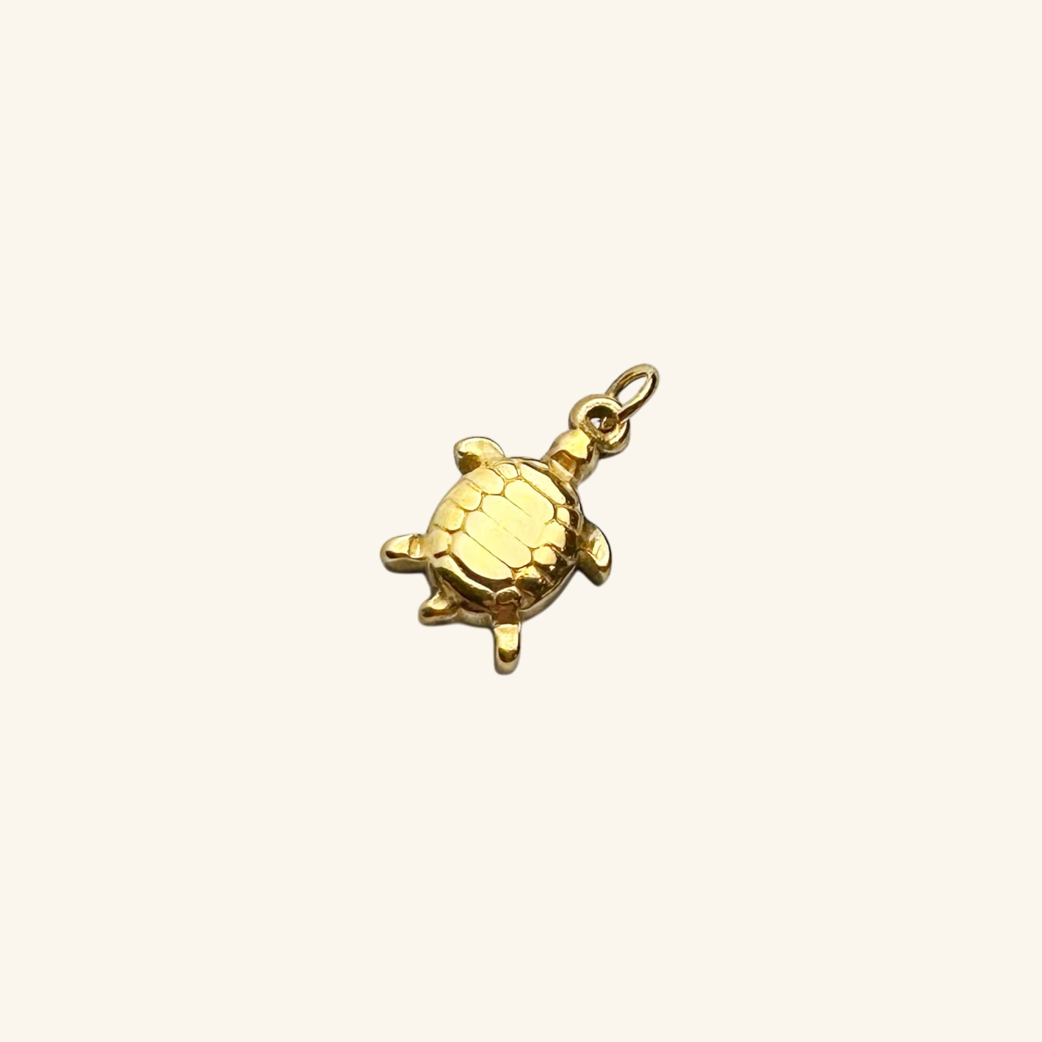 Turtle Charm